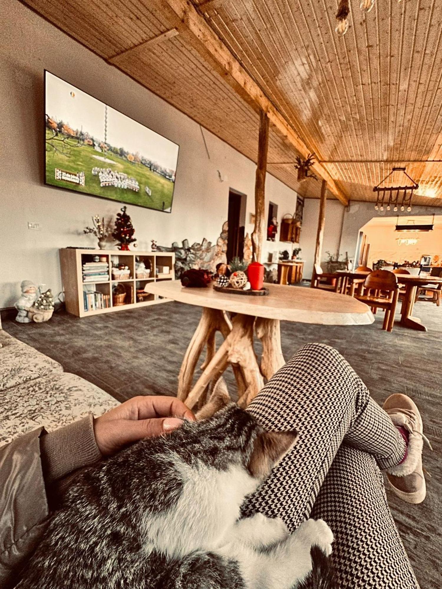 Pensiunea Salas Salasu de Sus Esterno foto