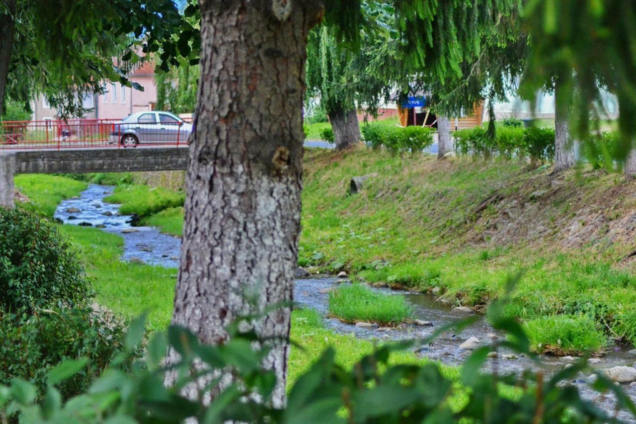 Pensiunea Salas Salasu de Sus Esterno foto